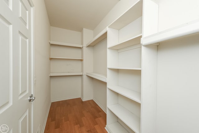 spacious closet featuring wood finished floors