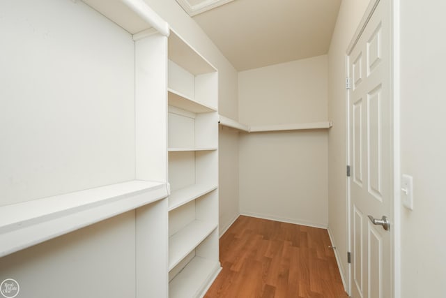 spacious closet featuring light wood-style flooring