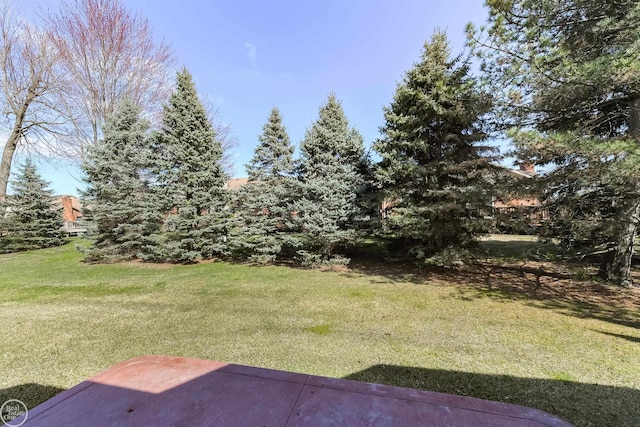view of yard