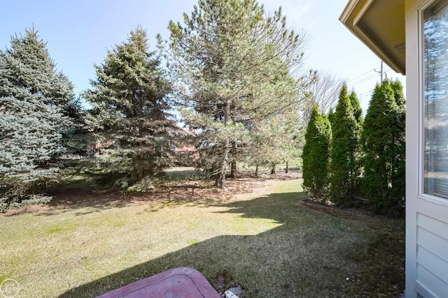 view of yard