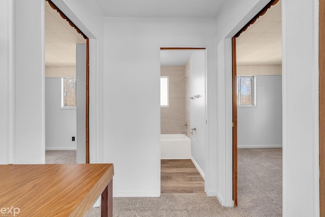 2407 Karen St, Prescott, MI 48756 - hallway with a wealth of natural light, carpet flooring, and baseboards