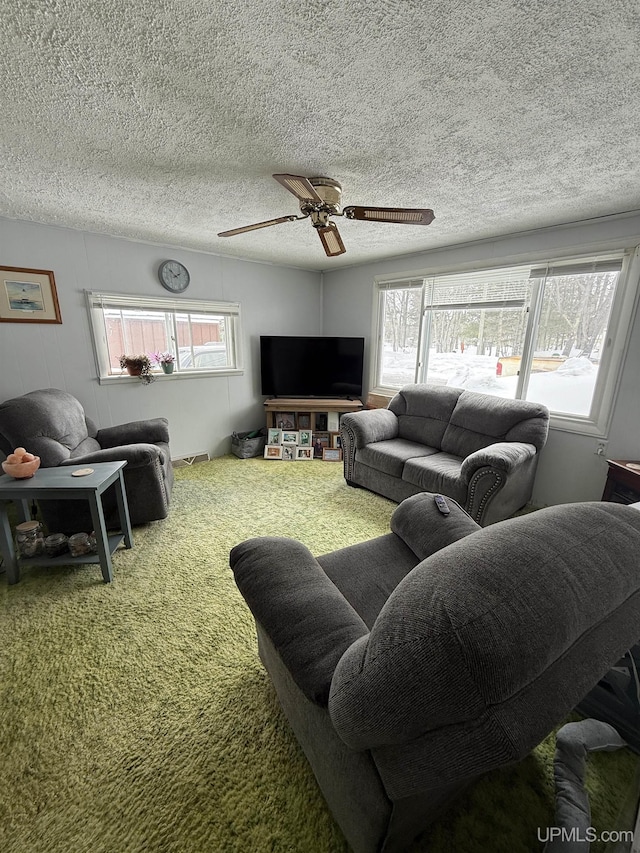 N5352 Pine St, Shingleton, MI 49884 - carpeted living area with a textured ceiling, a ceiling fan, and a healthy amount of sunlight