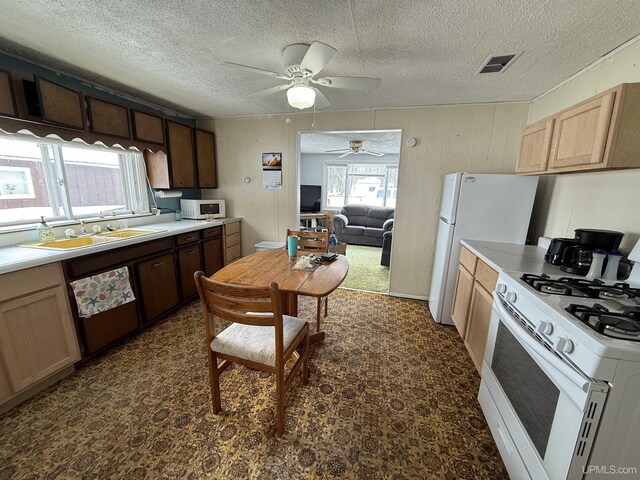 N5352 Pine St, Shingleton, MI 49884 - kitchen featuring a sink, light countertops, ceiling fan, and white appliances