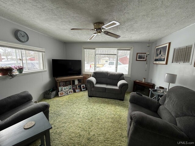 N5352 Pine St, Shingleton, MI 49884 - carpeted living area featuring a textured ceiling and a ceiling fan
