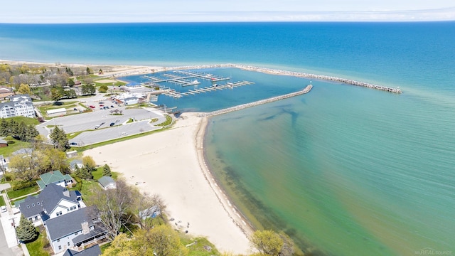 7173 Lake St, Lexington, MI 48450 - bird's eye view with a water view