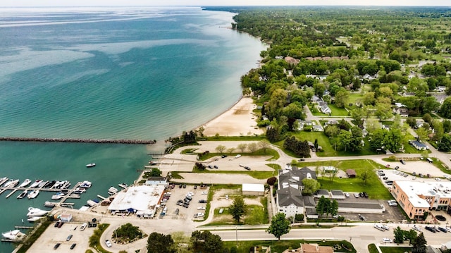 7173 Lake St, Lexington, MI 48450 - bird's eye view with a water view