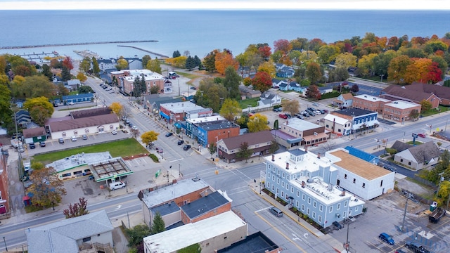 7173 Lake St, Lexington, MI 48450 - birds eye view of property with a water view