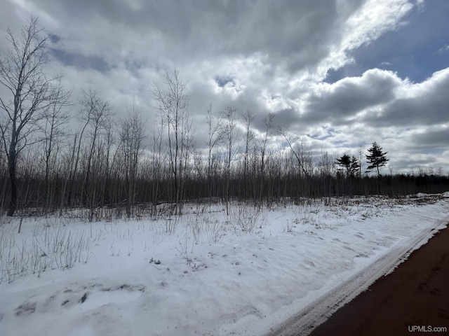 PARCEL2 Iron Pin Trl, Gwinn, MI 49841