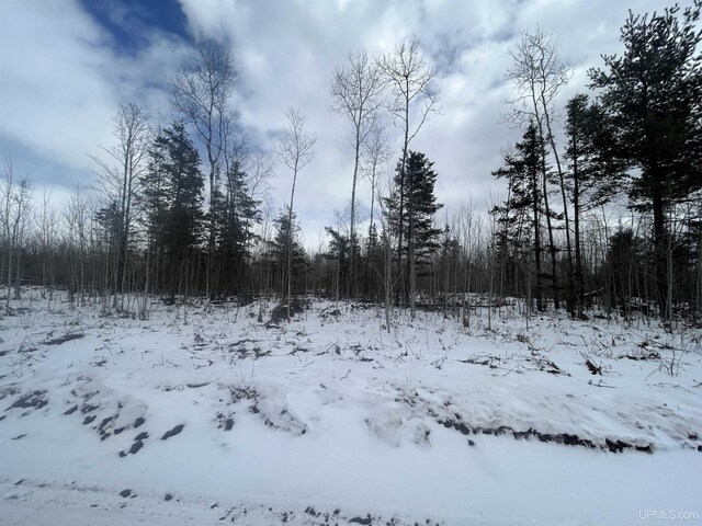 PARCEL2 Iron Pin Trl, Gwinn, MI 49841