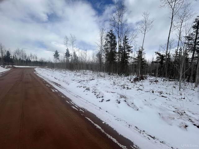 PARCEL2 Iron Pin Trl, Gwinn, MI 49841