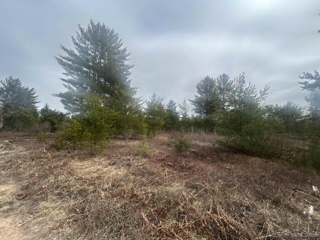 PARCEL2OFF Johnson Lake Rd, Gwinn, MI 49841
