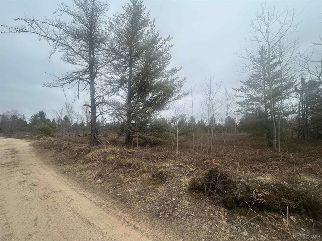 PARCEL2OFF Johnson Lake Rd, Gwinn, MI 49841