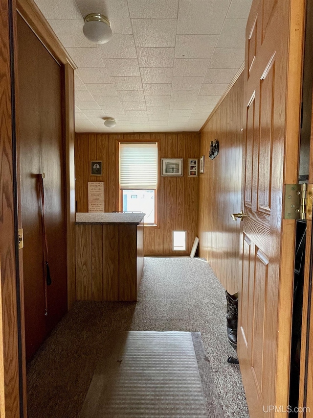 1215 Dakota Ave, Gladstone, MI 49837 - kitchen with carpet, wood walls, and brown cabinets