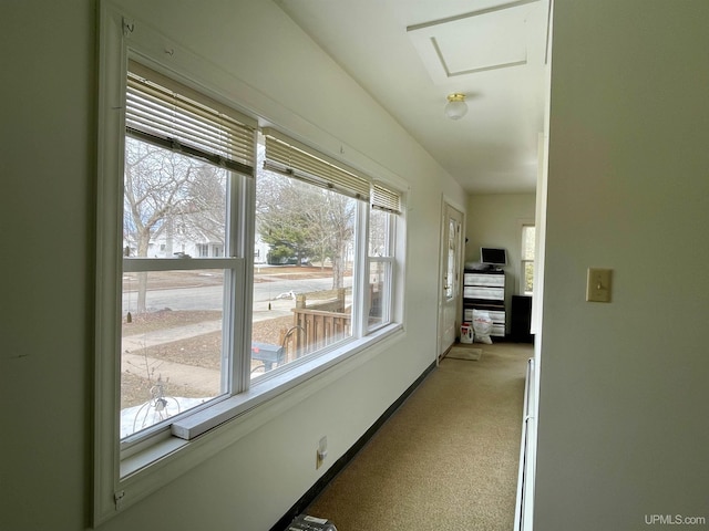 1215 Dakota Ave, Gladstone, MI 49837 - corridor with light colored carpet