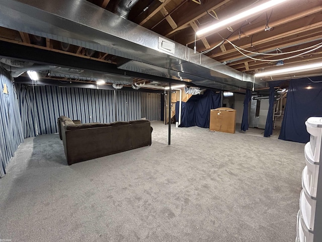 unfinished below grade area with carpet floors