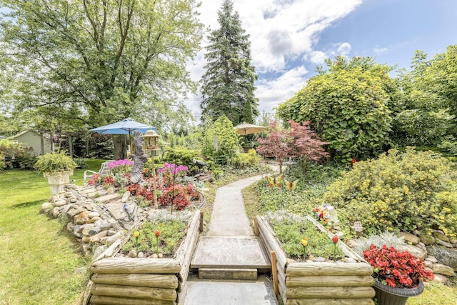 view of home's community featuring a vegetable garden and a lawn