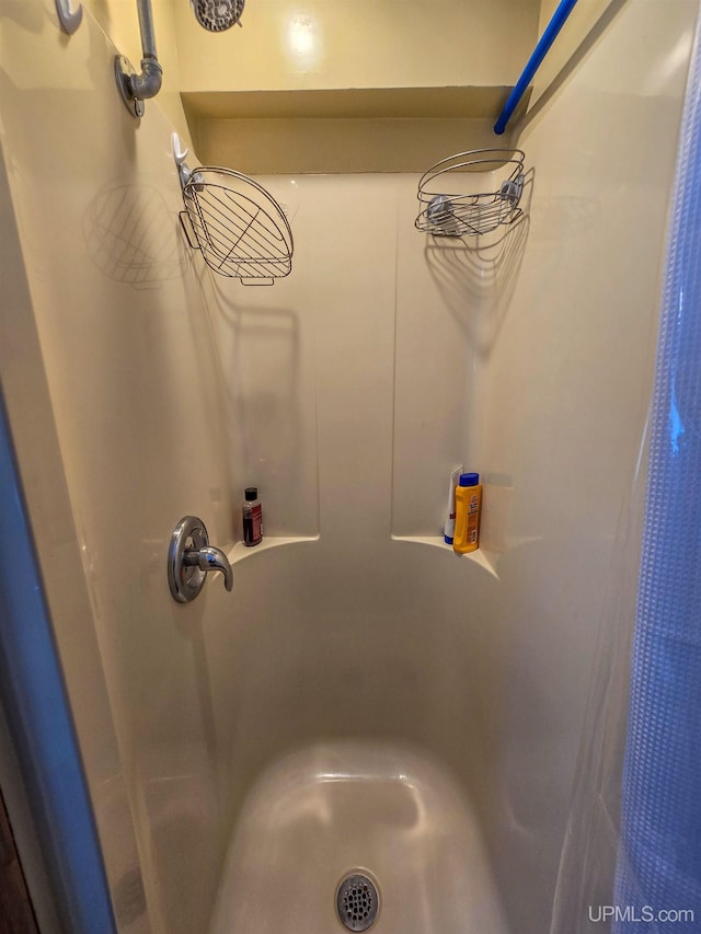 interior details with walk in shower