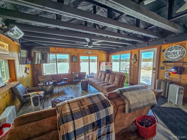 living room with wooden walls, a ceiling fan, beam ceiling, radiator, and wood finished floors