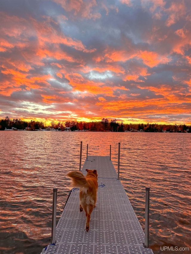 dock area with a water view