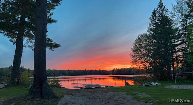water view featuring a forest view