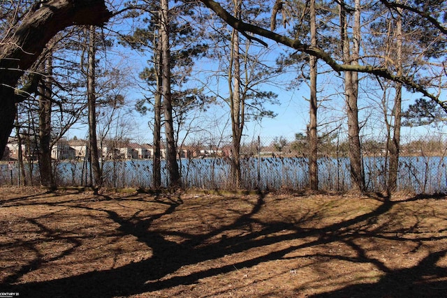 water view