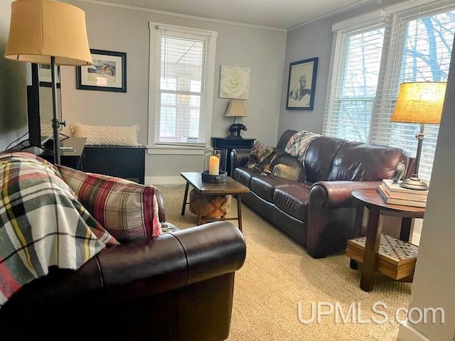 living area featuring carpet, baseboards, and crown molding