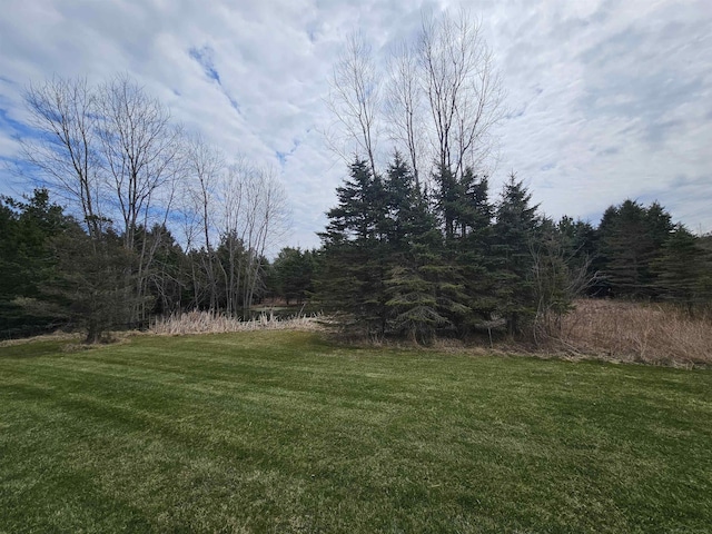 view of yard with a view of trees