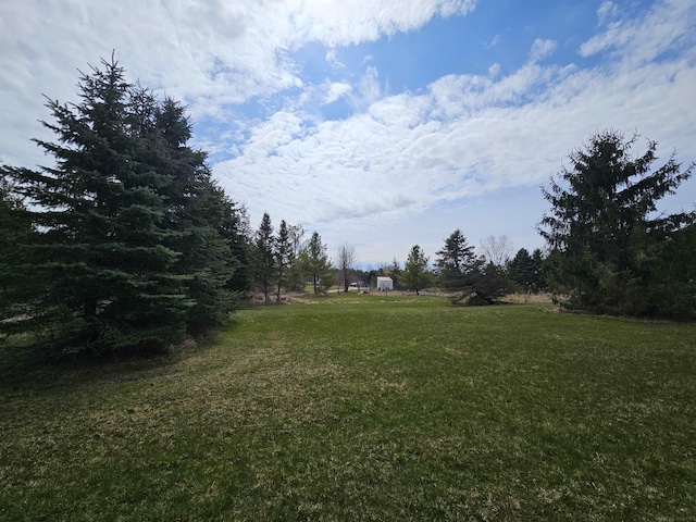 view of yard