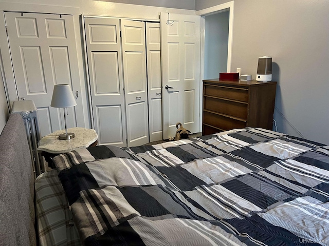 bedroom with a closet and carpet floors