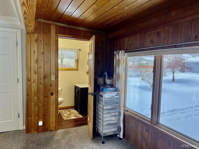 entryway featuring wood walls, wooden ceiling, and carpet flooring
