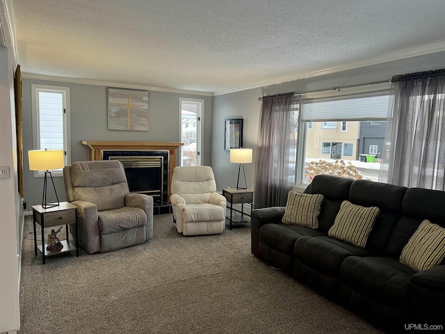 living area with a fireplace with raised hearth, a textured ceiling, ornamental molding, and carpet floors