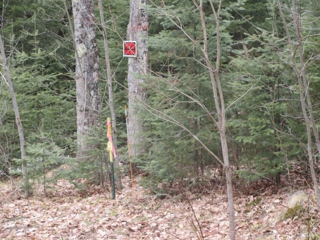 10.4ACRES W Tamarack Lake Rd, Watersmeet, MI 49969