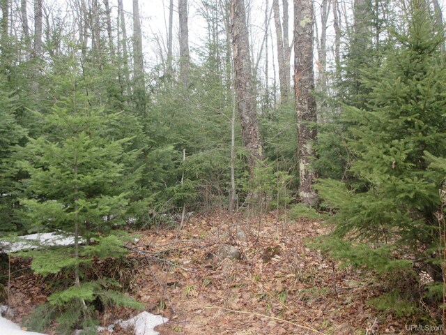 10.4ACRES W Tamarack Lake Rd, Watersmeet, MI 49969