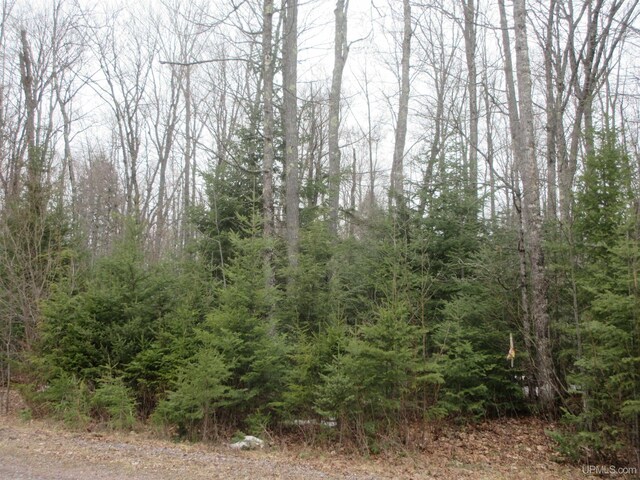 10.4ACRES W Tamarack Lake Rd, Watersmeet, MI 49969
