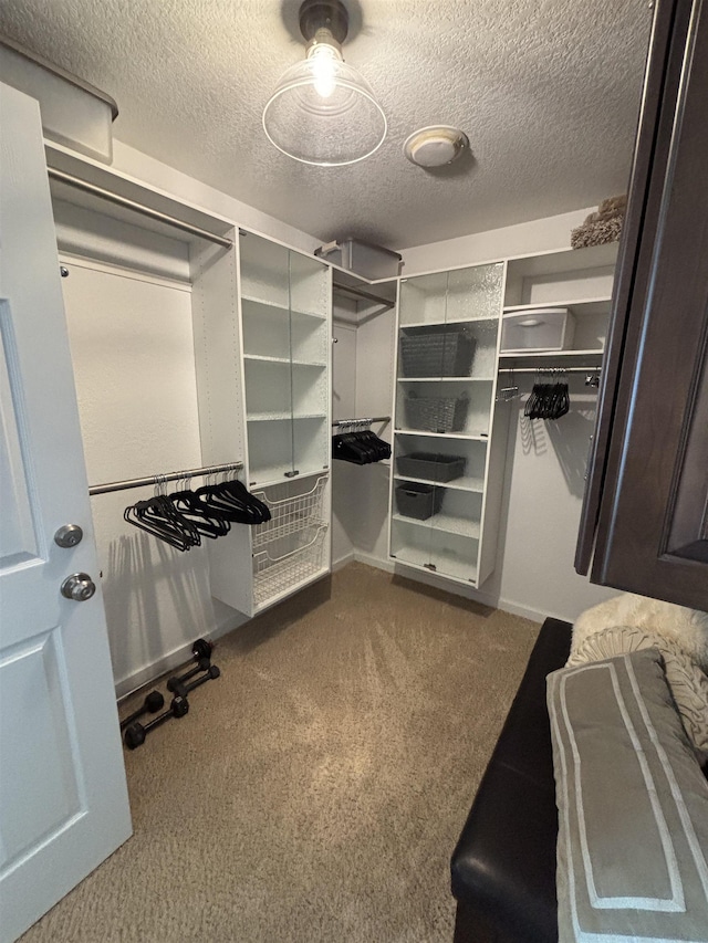 walk in closet featuring dark colored carpet