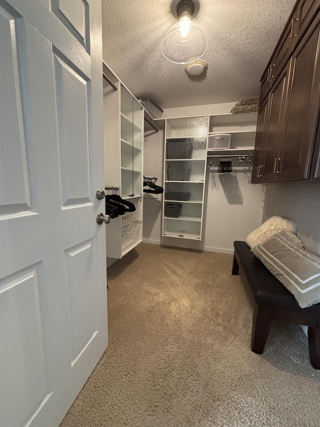walk in closet with carpet flooring