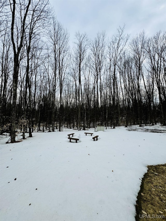 view of yard layered in snow