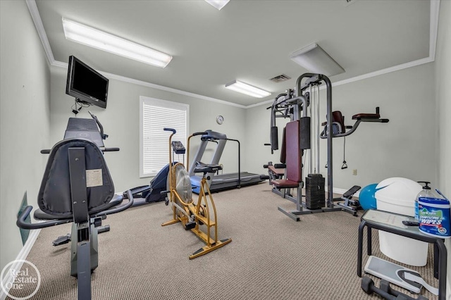 6240 Twin Lakes Dr, Kimball, MI 48074 - workout area with ornamental molding, baseboards, visible vents, and carpet floors