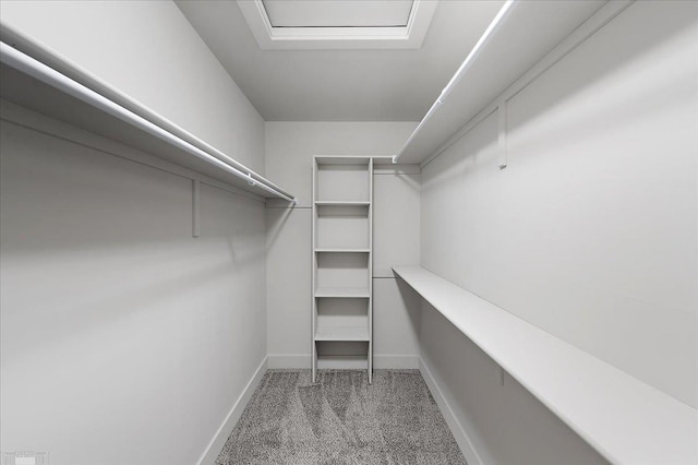 walk in closet featuring carpet