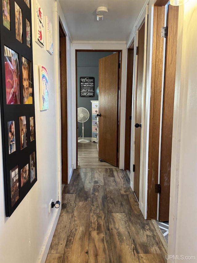 9260 S US Highway 41, Skandia, MI 49885 - corridor with dark wood-style flooring and baseboards
