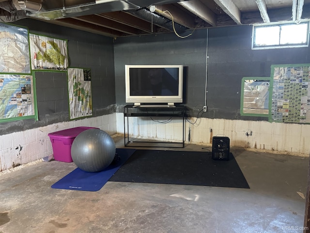 9260 S US Highway 41, Skandia, MI 49885 - view of workout area