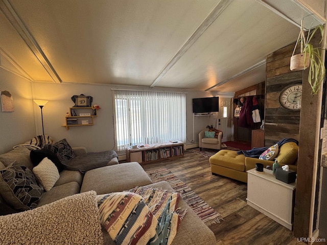 9260 S US Highway 41, Skandia, MI 49885 - living room featuring wood finished floors and lofted ceiling