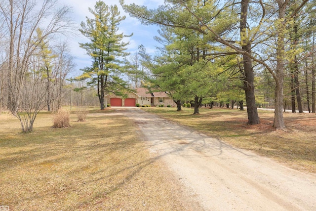 475 S Bartlett Rd, Saint Clair, MI 48079 - view of road featuring dirt driveway