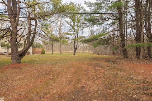 475 S Bartlett Rd, Saint Clair, MI 48079 - view of yard