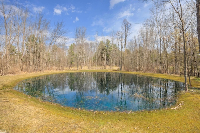 475 S Bartlett Rd, Saint Clair, MI 48079 - property view of water featuring a wooded view