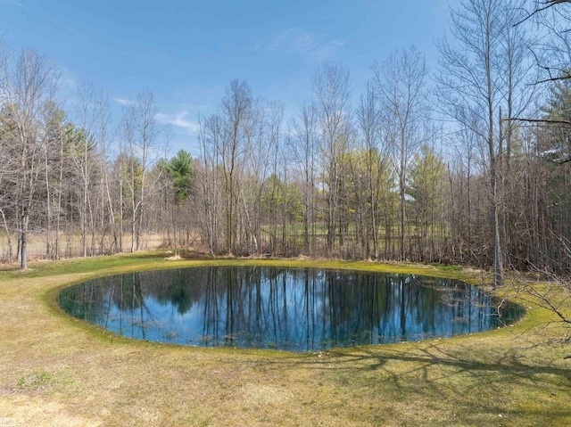 475 S Bartlett Rd, Saint Clair, MI 48079 - property view of water featuring a forest view