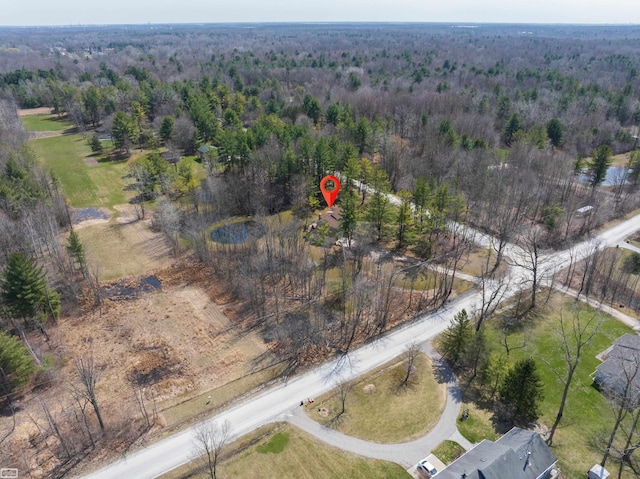 475 S Bartlett Rd, Saint Clair, MI 48079 - birds eye view of property featuring a view of trees