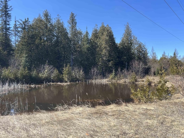 view of local wilderness featuring a view of trees and a water view