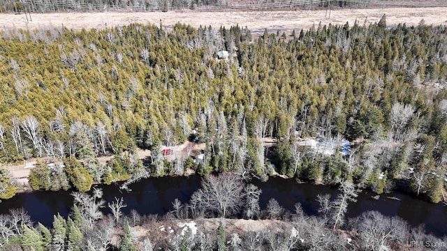 bird's eye view with a view of trees and a water view