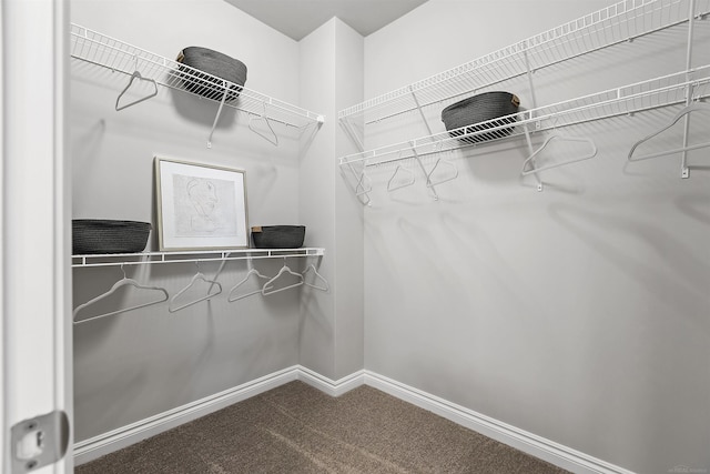 walk in closet featuring carpet